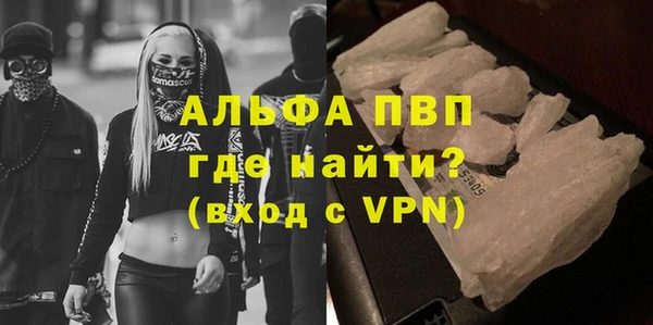 дживик Богородицк