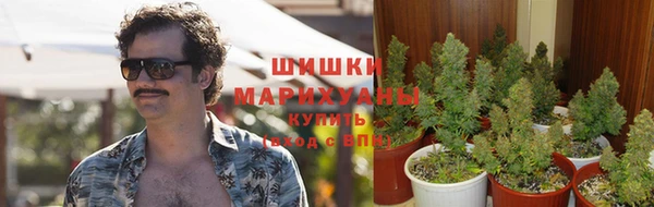 СК Новодвинск