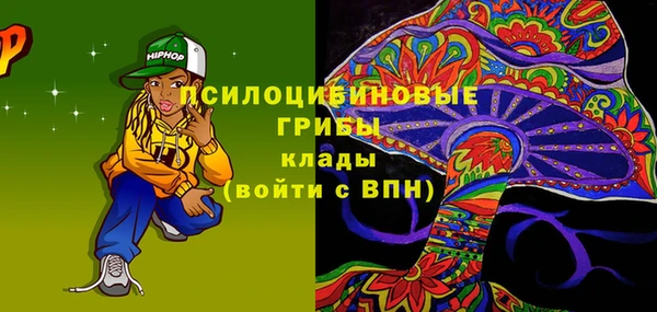 СК Белокуриха