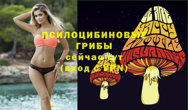 прущие крисы Беломорск