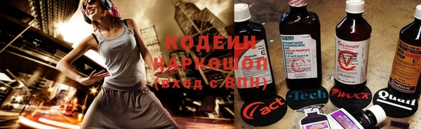 прущие крисы Беломорск