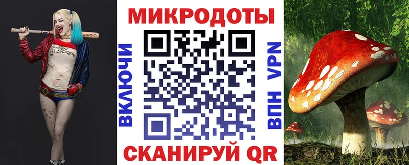 цена   Первомайск  Галлюциногенные грибы мицелий 